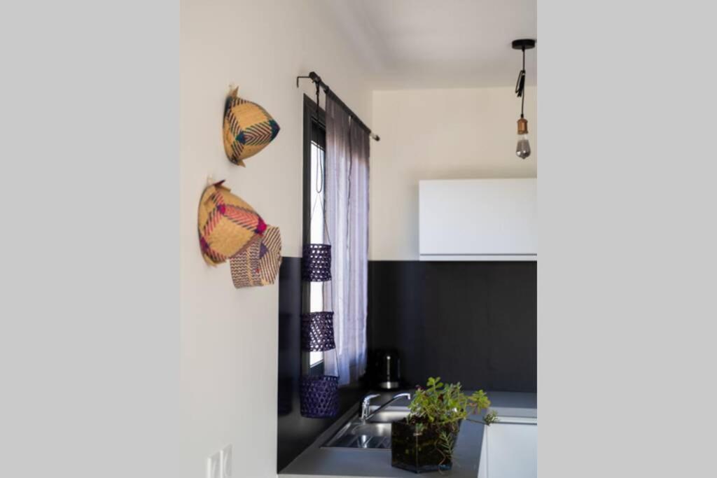 Ti-Punch T3 Climatise Manapany Les Bains Apartment ภายนอก รูปภาพ