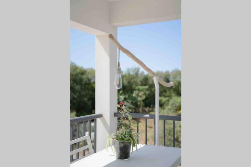 Ti-Punch T3 Climatise Manapany Les Bains Apartment ภายนอก รูปภาพ